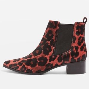 leopard print ankle boots topshop